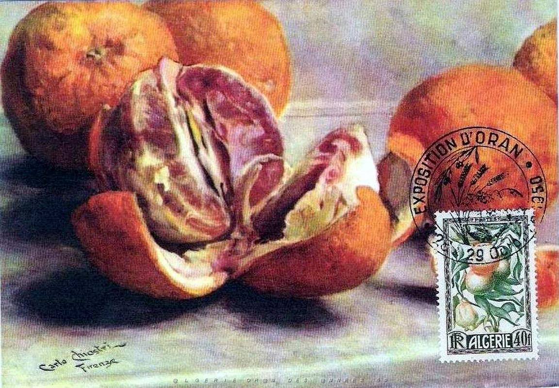 TIMBRES DE LA FOIRE D ORAN 1952   (6).jpg